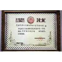 青海省科學技術(shù)進步一等獎