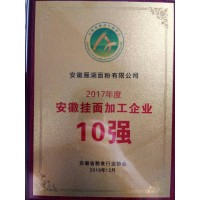 安徽掛面加工十強企業(yè)